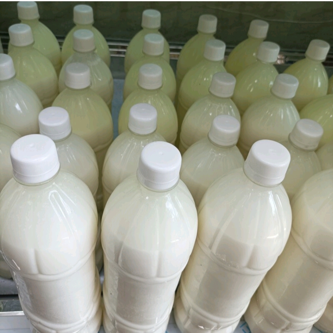 دوغ محلی سنتی